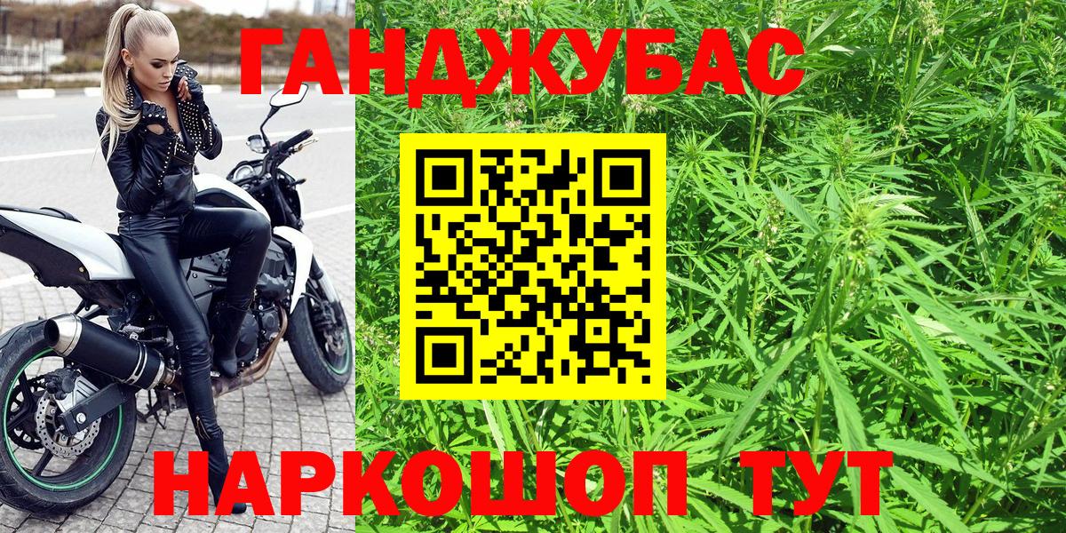 Каннабис планчик Баксан